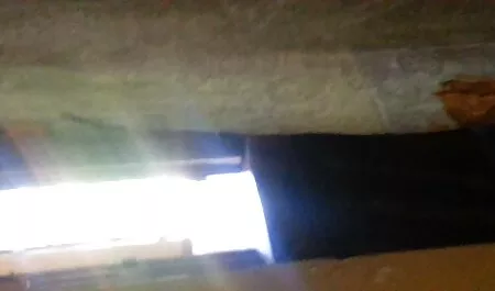 Grau aß er ein koste ...
